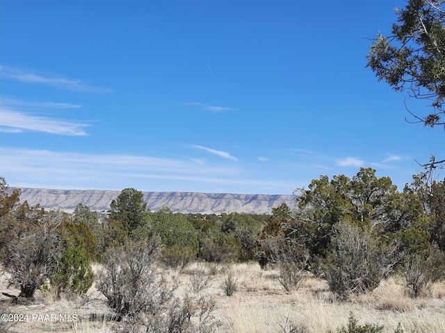 58153 N Calle Carlota, Seligman AZ, 86337 land for sale