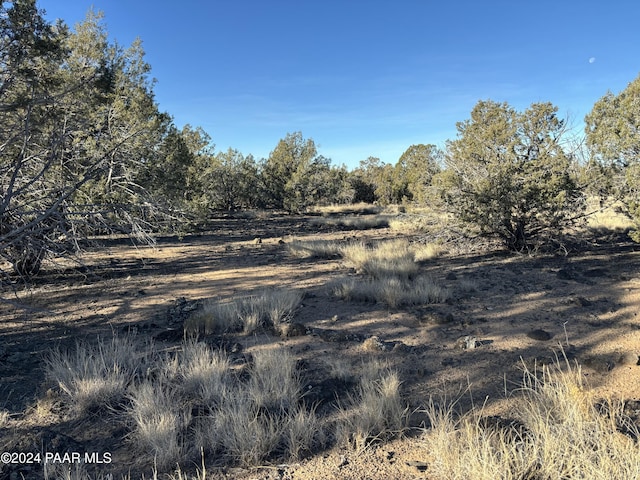 3255 W Gary Cir, Williams, AZ 86046 - photo 16
