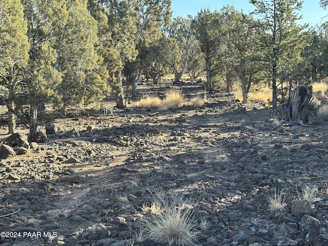 3255 W Gary Cir, Williams, AZ 86046 - photo 5
