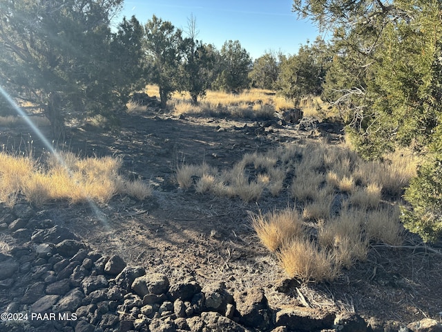 3255 W Gary Cir, Williams, AZ 86046 - photo 6