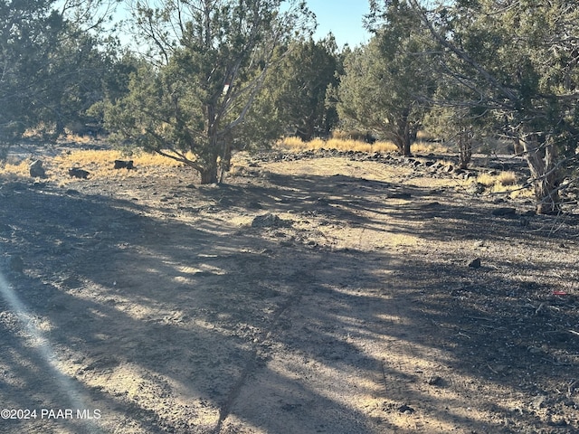 3255 W Gary Cir, Williams, AZ 86046 - photo 10