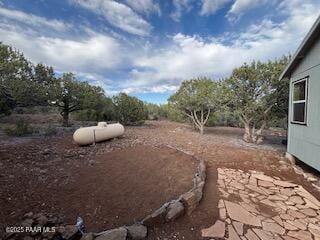16432 Incline Trl, Williams, AZ 86046 - view of yard