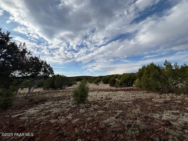 16432 Incline Trl, Williams, AZ 86046 - view of nature