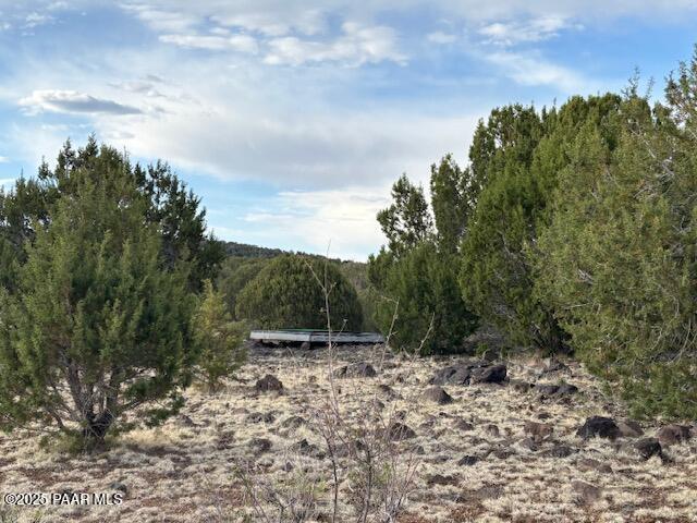 16432 Incline Trl, Williams, AZ 86046 - view of tree filled area