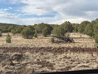 16432 Incline Trl, Williams, AZ 86046 - view of local wilderness