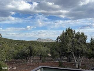 16432 Incline Trl, Williams, AZ 86046 - view of pool