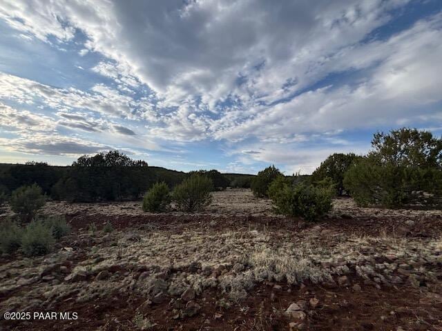 16432 Incline Trl, Williams, AZ 86046 - view of nature