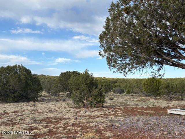 16432 Incline Trl, Williams, AZ 86046 - view of undeveloped land