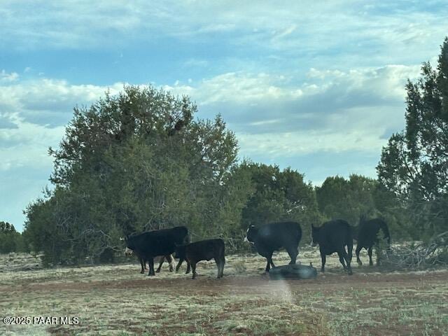 16432 Incline Trl, Williams, AZ 86046 - view of nature with rural landscape