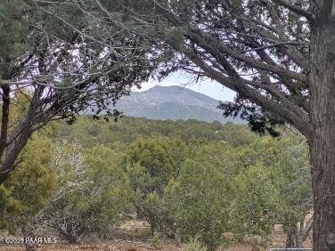 mountain view with a wooded view