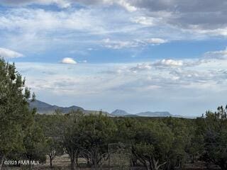 16432 Incline Trl, Williams, AZ 86046 - view of mountain backdrop