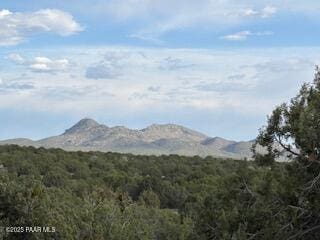 16432 Incline Trl, Williams, AZ 86046 - view of mountain background featuring a heavily wooded area