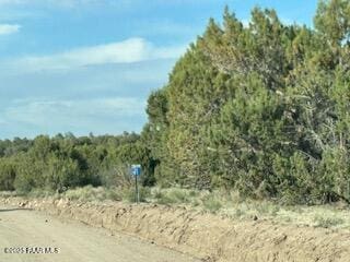 16432 Incline Trl, Williams, AZ 86046 - view of nature