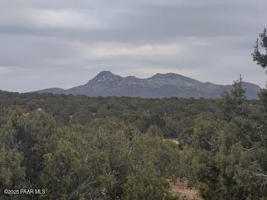 view of mountain feature with a view of trees