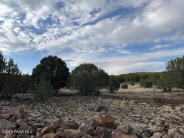16432 Incline Trl, Williams, AZ 86046 - view of undeveloped land