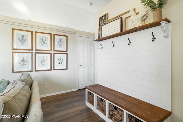 mudroom with dark wood-type flooring