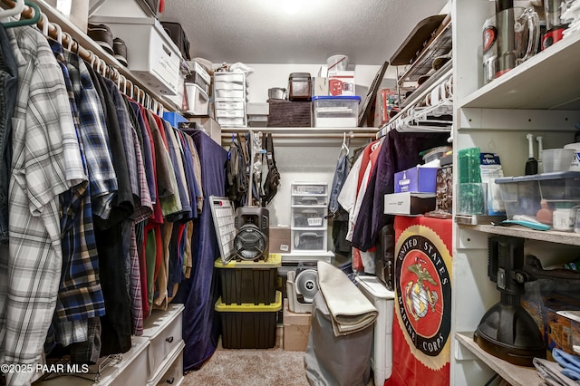 3718 N Navajo Dr, Prescott Valley, AZ 86314 - walk in closet featuring carpet floors