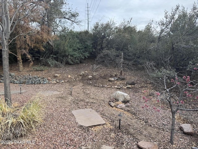 2508 N Leah Ln, Prescott, AZ 86301 - view of yard