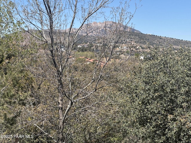 2508 N Leah Ln, Prescott, AZ 86301 - mountain view