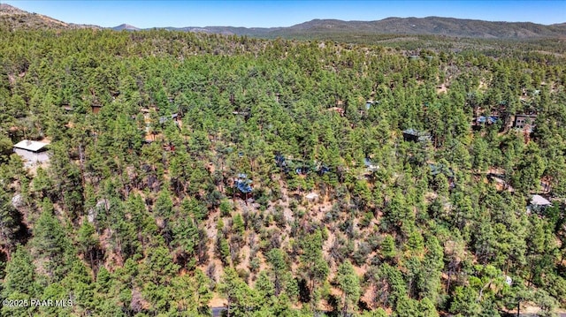 4820 S Lund Ct, Prescott, AZ 86303 - view of property location with a heavily wooded area and a mountain backdrop