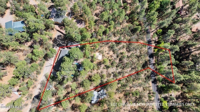 4820 S Lund Ct, Prescott, AZ 86303 - aerial view of property and surrounding area with property parcel outlined