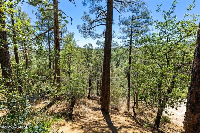 4820 S Lund Ct, Prescott, AZ 86303 - view of tree filled area