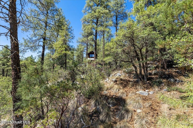 4820 S Lund Ct, Prescott, AZ 86303 - view of tree filled area