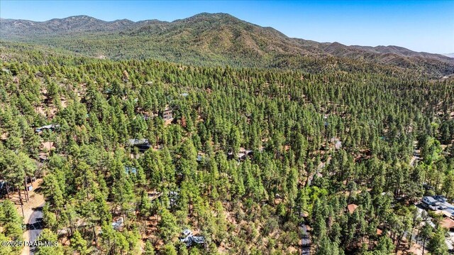 4820 S Lund Ct, Prescott, AZ 86303 - view of mountain backdrop with a forest