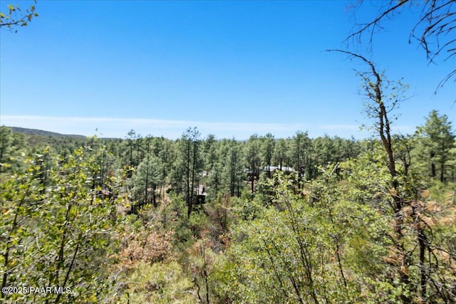 4820 S Lund Ct, Prescott, AZ 86303 - view of wooded area