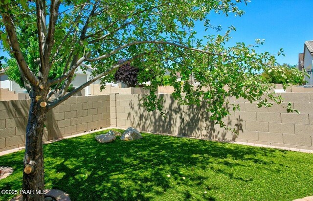 7273 Woolsey Ranch Rd, Prescott Valley, AZ 86314 - view of fenced backyard