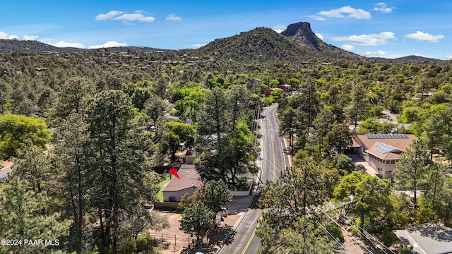 birds eye view of property featuring a mountain view