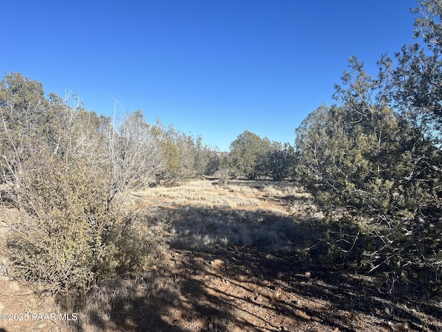 Listing photo 3 for 513 Roaming Way, Seligman AZ 86337