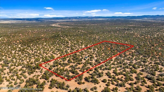 0 Cattle Dr, Ash Fork, AZ 86320 - photo 48