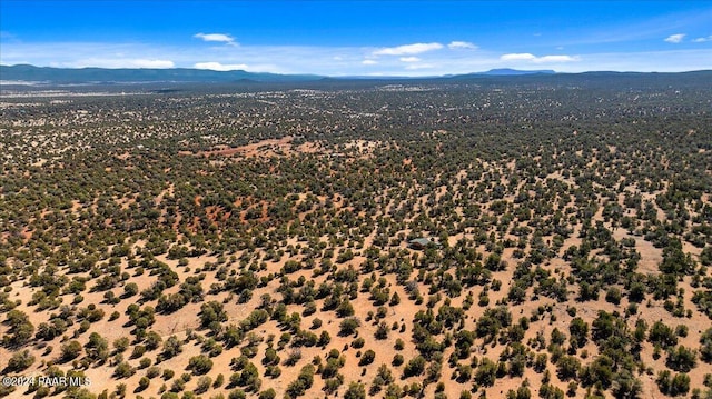 drone / aerial view with a mountain view