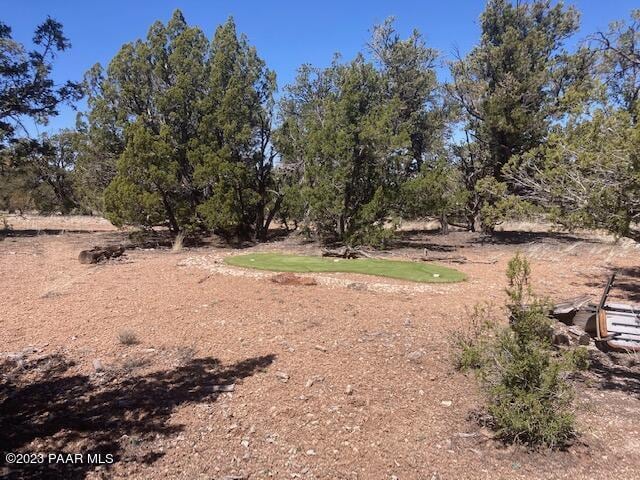 0 Cattle Dr, Ash Fork, AZ 86320 - photo 36