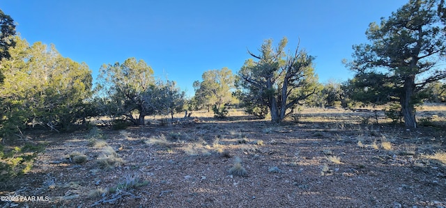 view of landscape