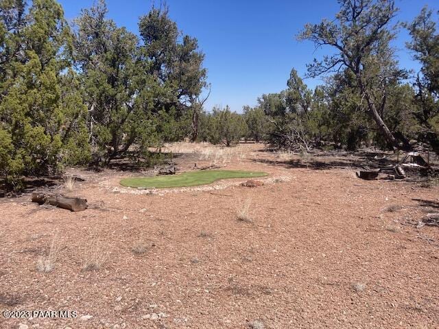 0 Cattle Dr, Ash Fork, AZ 86320 - photo 37