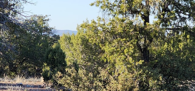 0 Cattle Dr, Ash Fork, AZ 86320 - photo 26