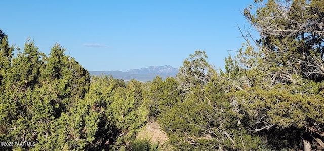 view of mountain feature