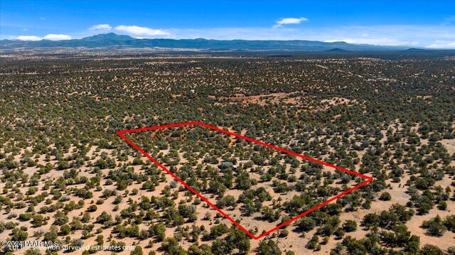 birds eye view of property with a mountain view