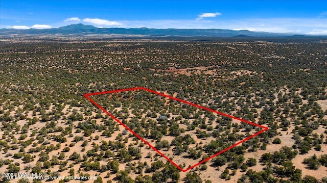 0 Cattle Dr, Ash Fork, AZ 86320 - photo 49