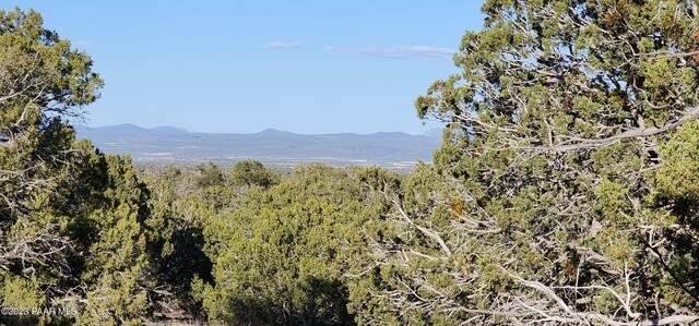 property view of mountains