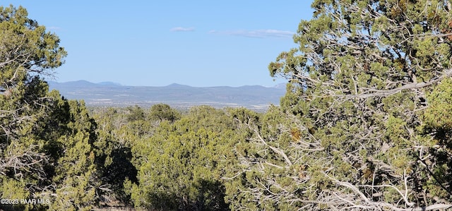 0 Cattle Dr, Ash Fork, AZ 86320 - photo 46