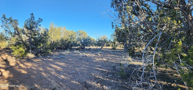 view of local wilderness