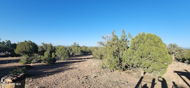 0 Cattle Dr, Ash Fork, AZ 86320 - photo 25