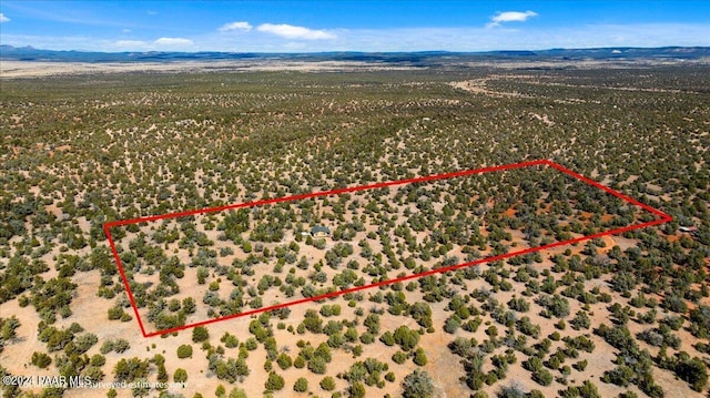 0 Cattle Dr, Ash Fork, AZ 86320 - photo 47