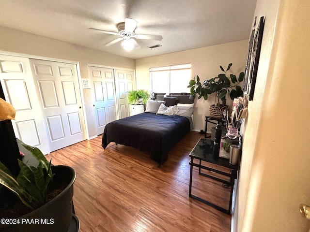 bedroom featuring multiple closets, ceiling fan, and wood-type flooring