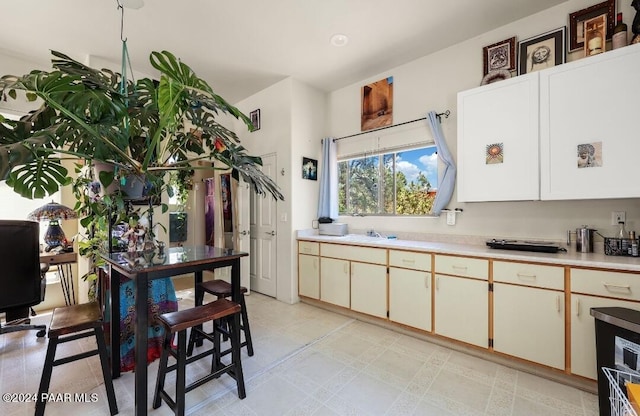 kitchen with white cabinetry and sink