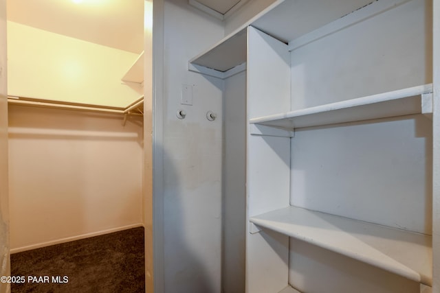 spacious closet featuring carpet