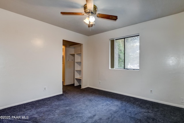 unfurnished bedroom featuring ceiling fan, a walk in closet, a closet, and dark colored carpet